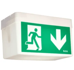 B.E.G. 93002 Classic BD21/6/3-LLD/W/D BEG Safetylux Notleuchte