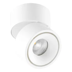 EVN AS20130102 Deckenanbauleuchte Dreh- Und Schwenkbar, Rund, 3000K, 1000lm